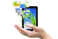 cellp hone and plants in a hand